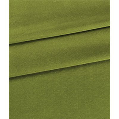 IMAGE_T
