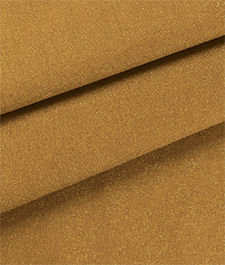 IMAGE_T