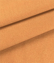 IMAGE_T