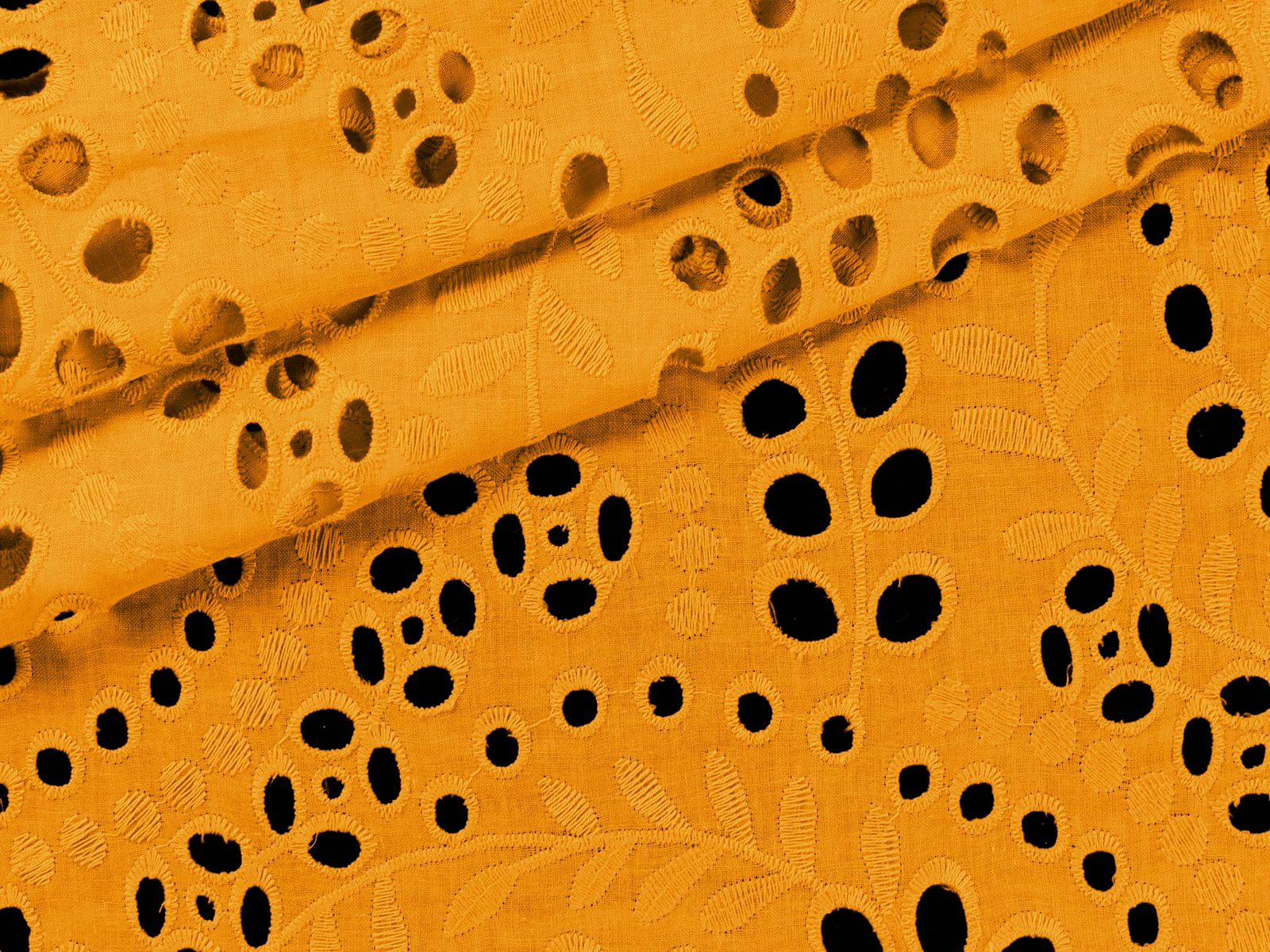 IMAGE_L