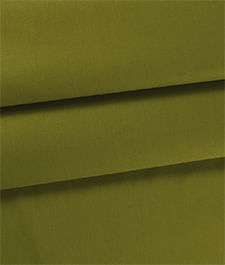IMAGE_T