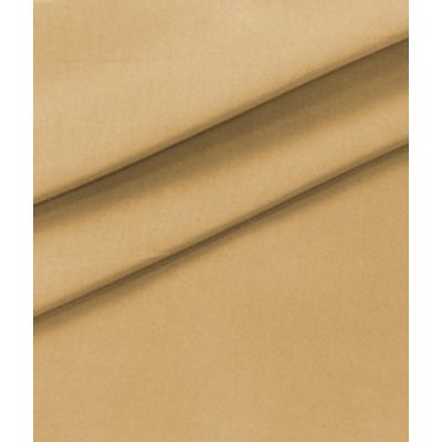 IMAGE_T