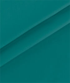 IMAGE_T