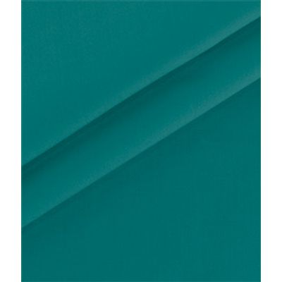 IMAGE_T