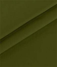IMAGE_T