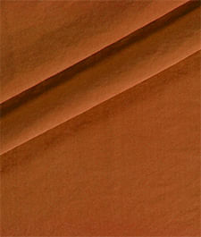 IMAGE_T