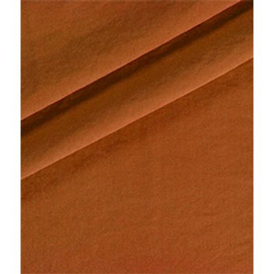 IMAGE_T