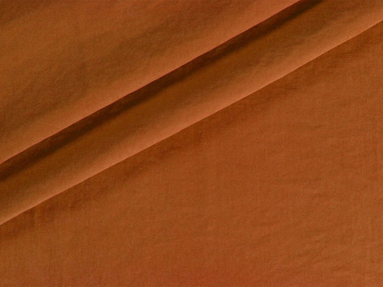 IMAGE_L