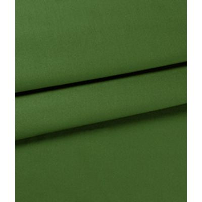 IMAGE_T