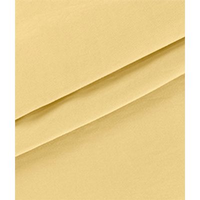 IMAGE_T
