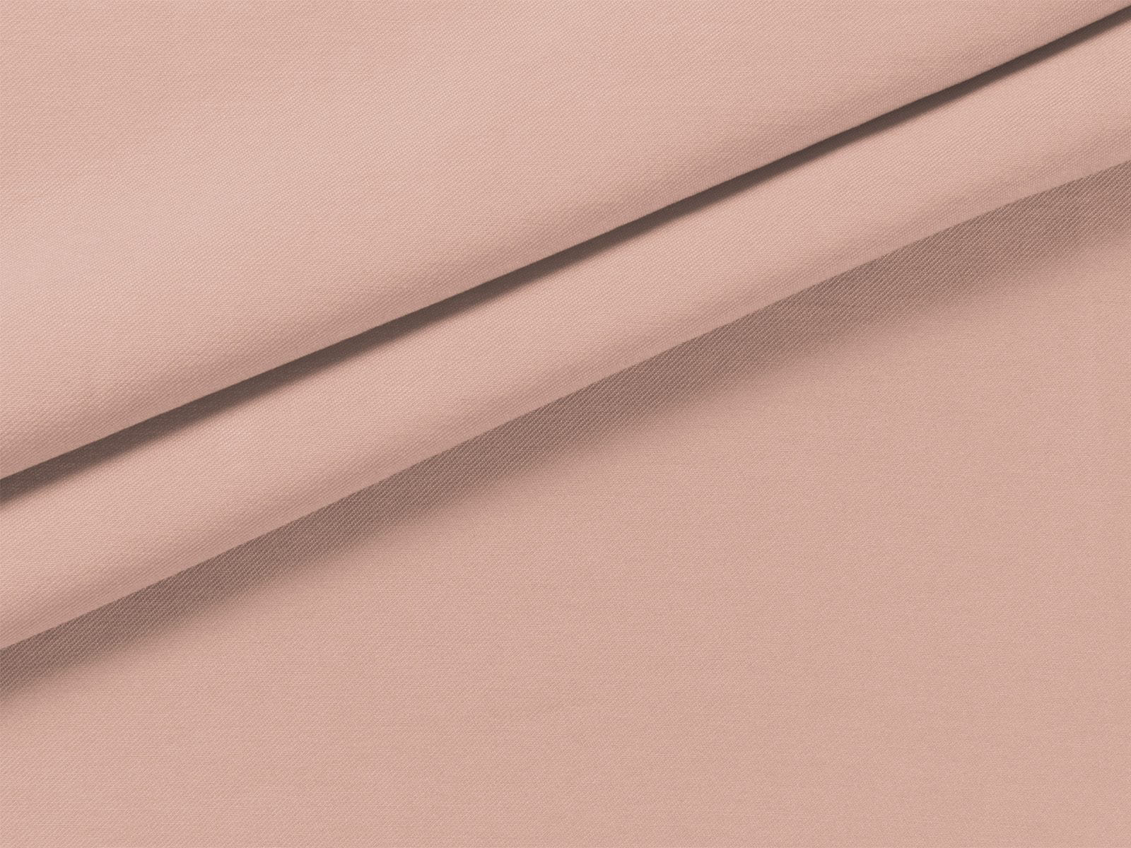 IMAGE_L