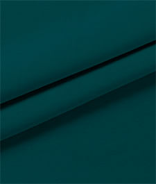 IMAGE_T