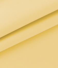 IMAGE_T