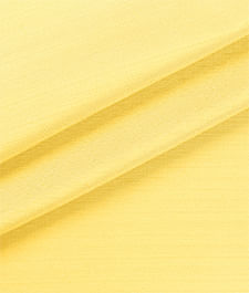 IMAGE_T