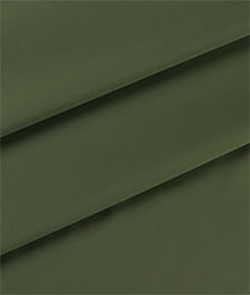 IMAGE_T