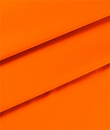 IMAGE_T