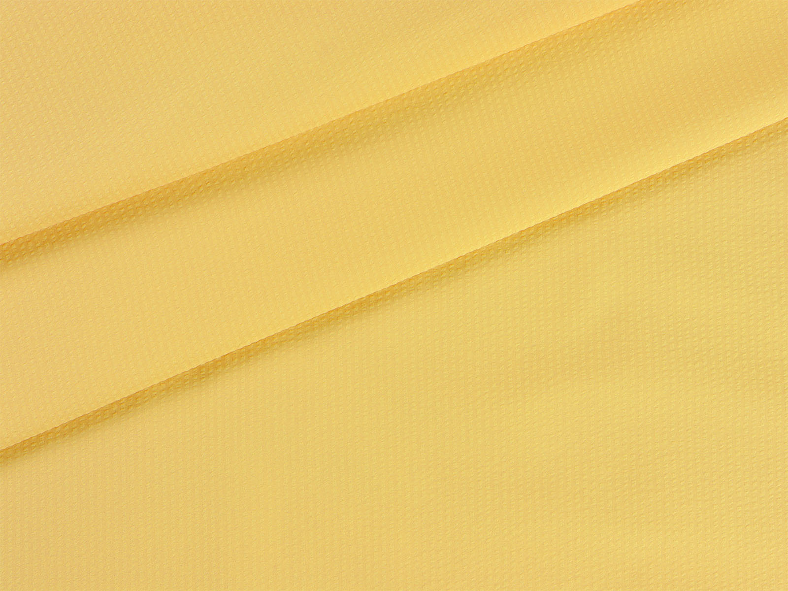 IMAGE_L