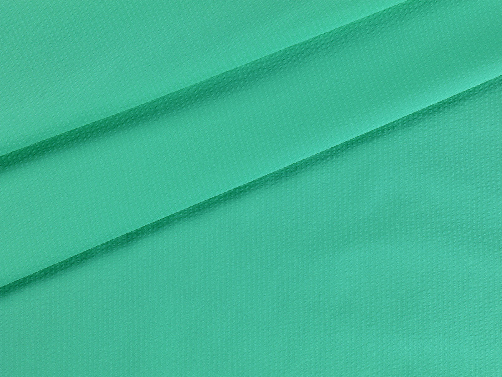 IMAGE_L