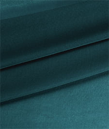 IMAGE_T