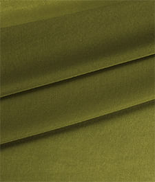 IMAGE_T