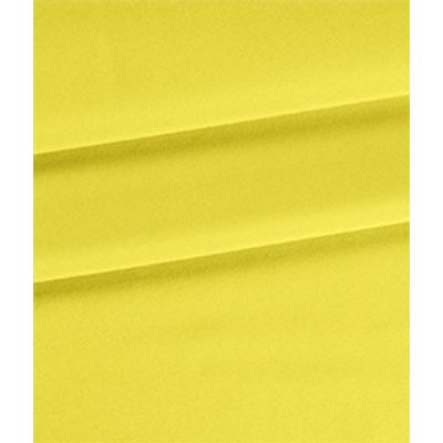 IMAGE_T