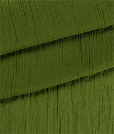 IMAGE_T
