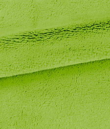 IMAGE_T