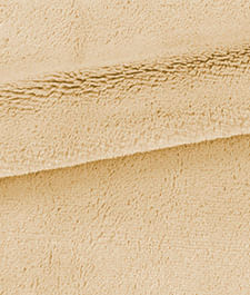 IMAGE_T