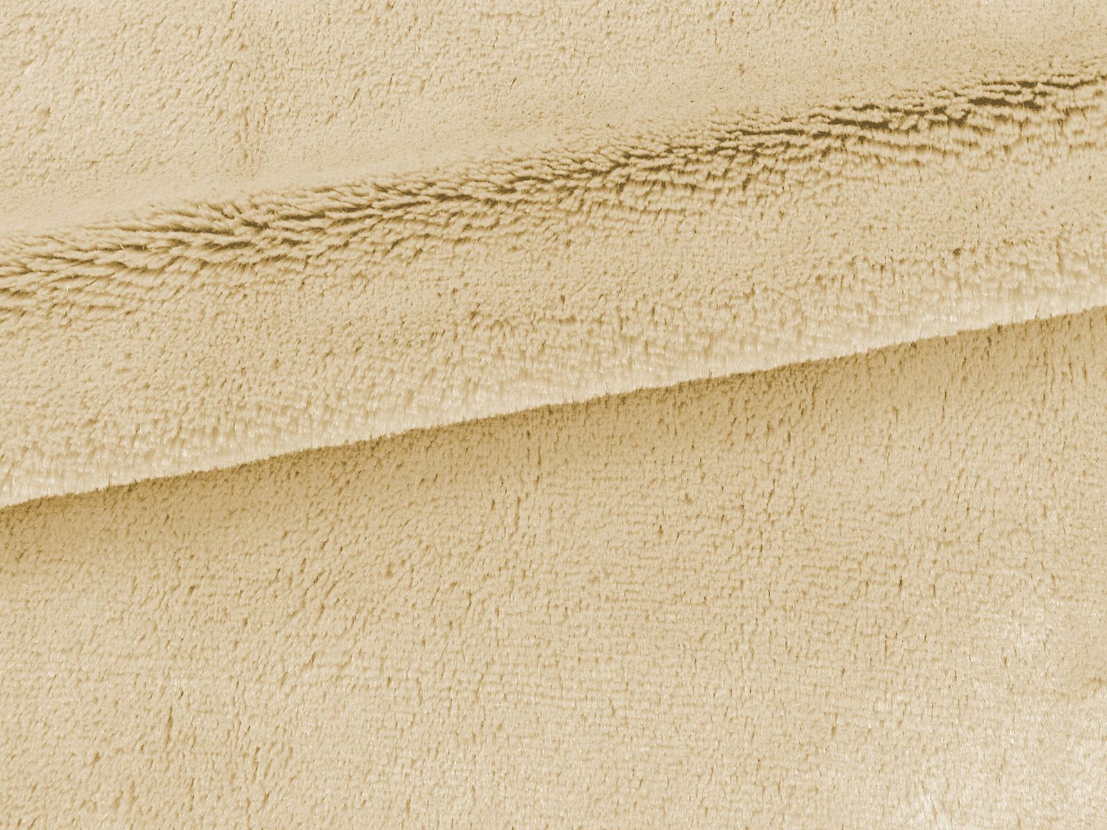 IMAGE_L