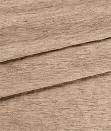 IMAGE_T