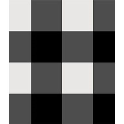 IMAGE_T