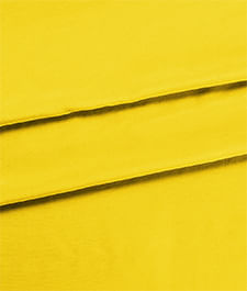 IMAGE_T