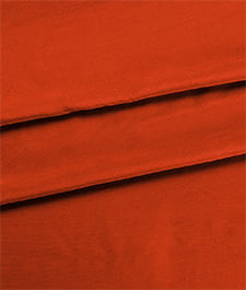 IMAGE_T