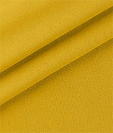 IMAGE_T