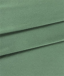 IMAGE_T