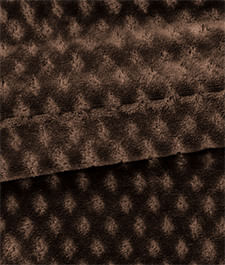 IMAGE_T