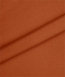IMAGE_T