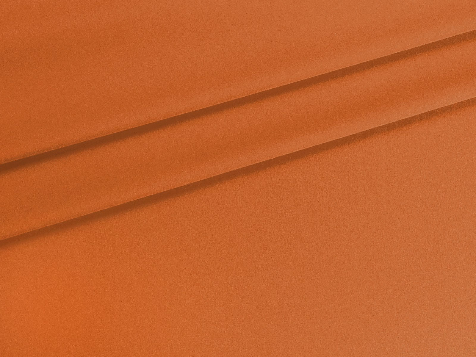 IMAGE_L