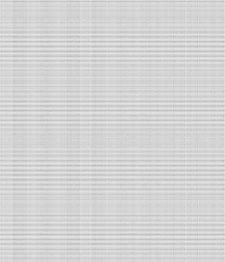 IMAGE_T