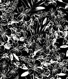 IMAGE_T