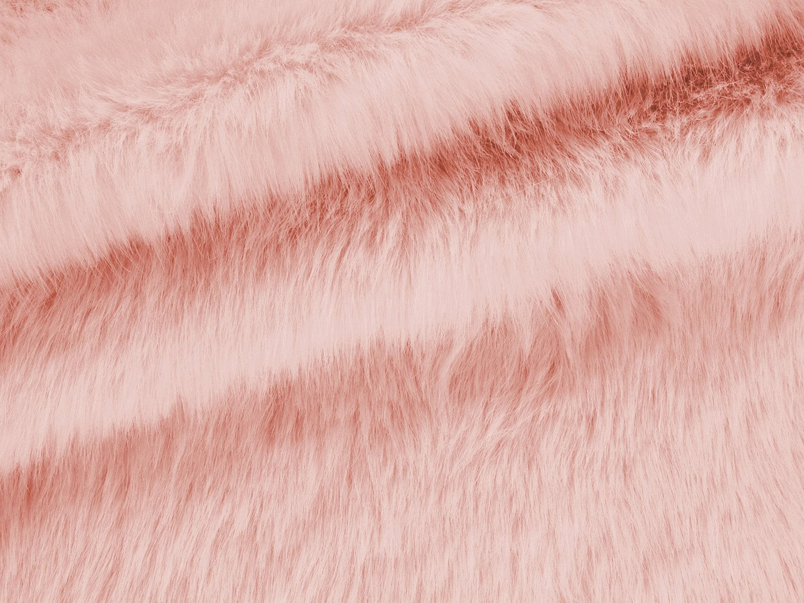 IMAGE_L