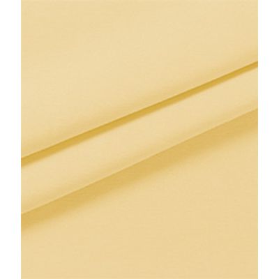 IMAGE_T