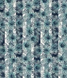 IMAGE_T