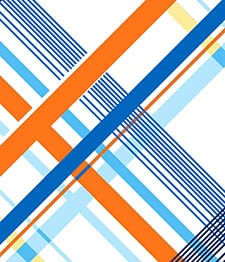 IMAGE_T