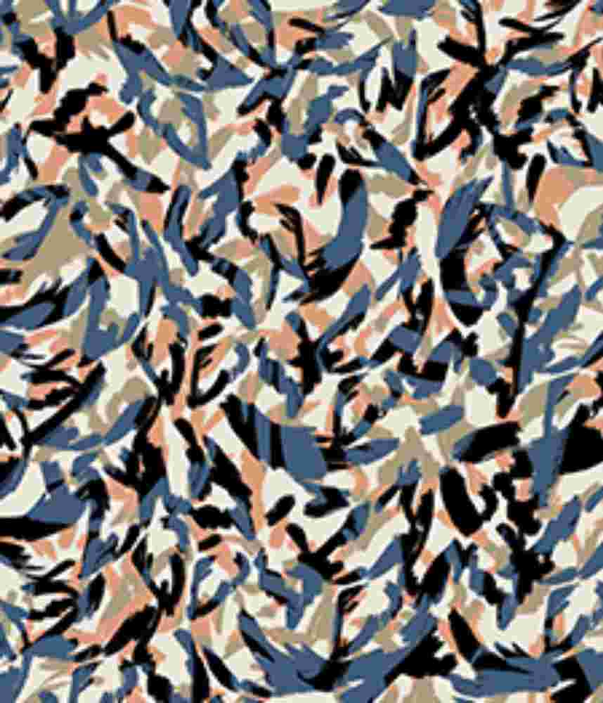 IMAGE_T