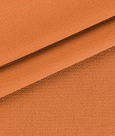 IMAGE_T