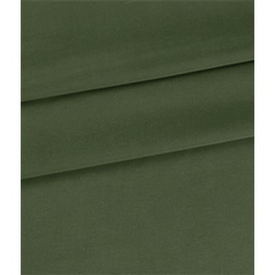 IMAGE_T