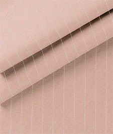 IMAGE_T
