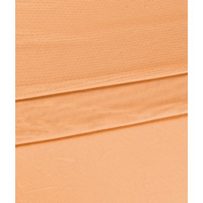 IMAGE_T