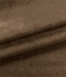 IMAGE_T